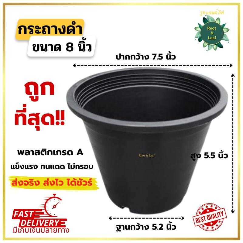 กระถางพลาสติก สีดำ ขนาด 8 นิ้ว (ปากกระถางกว้าง 7.5 นิ้ว)