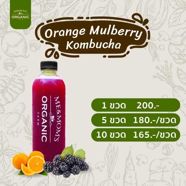 Orange Mulberry Kombucha