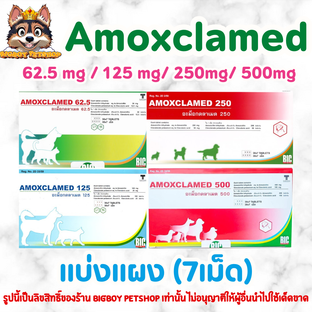 Amoxclamed ทุกขนาด สำหรับสัตว์เลี้ยง (7เม็ดต่อแผง)