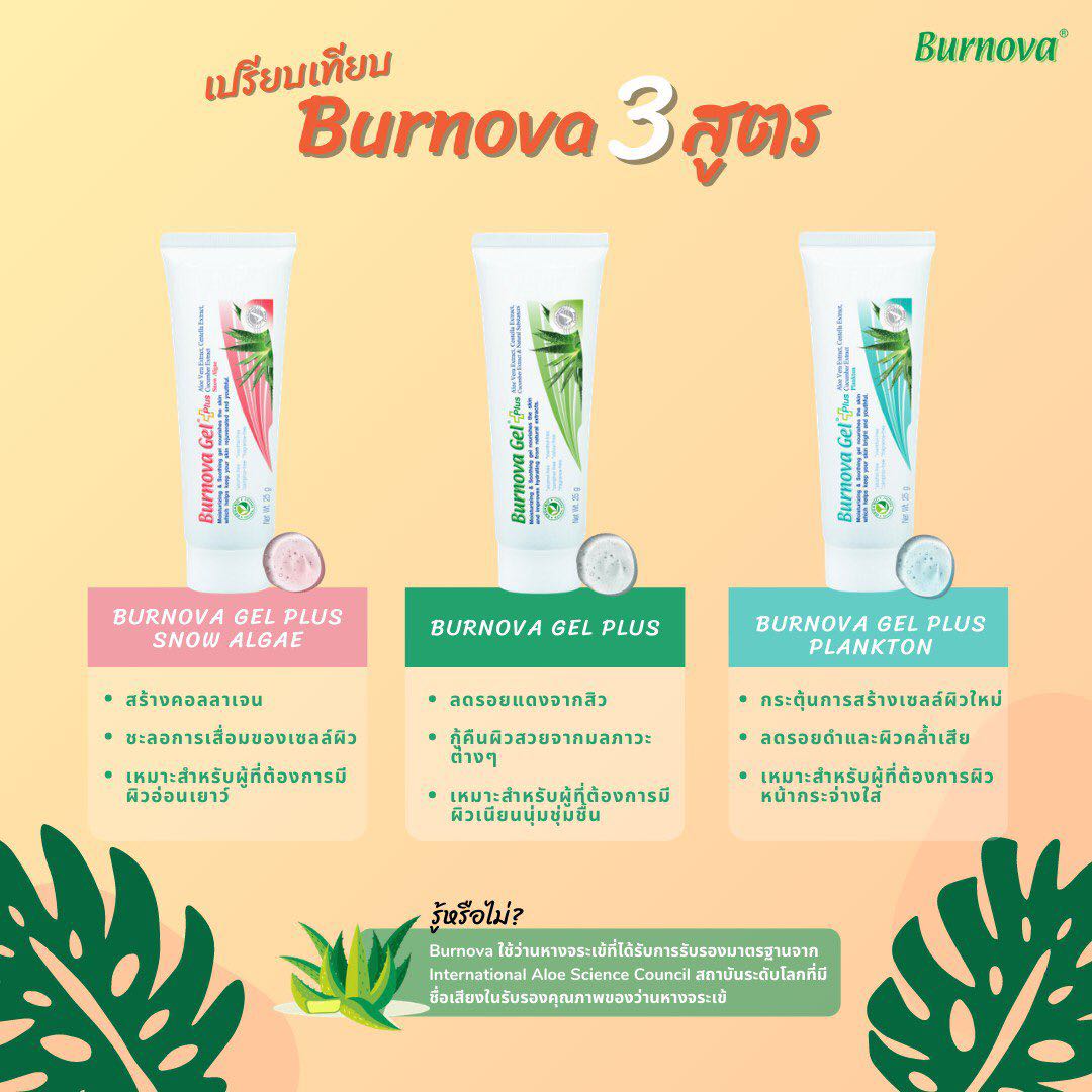 เบอร์นโนว่า25กรัม (3หลอดคละสี)