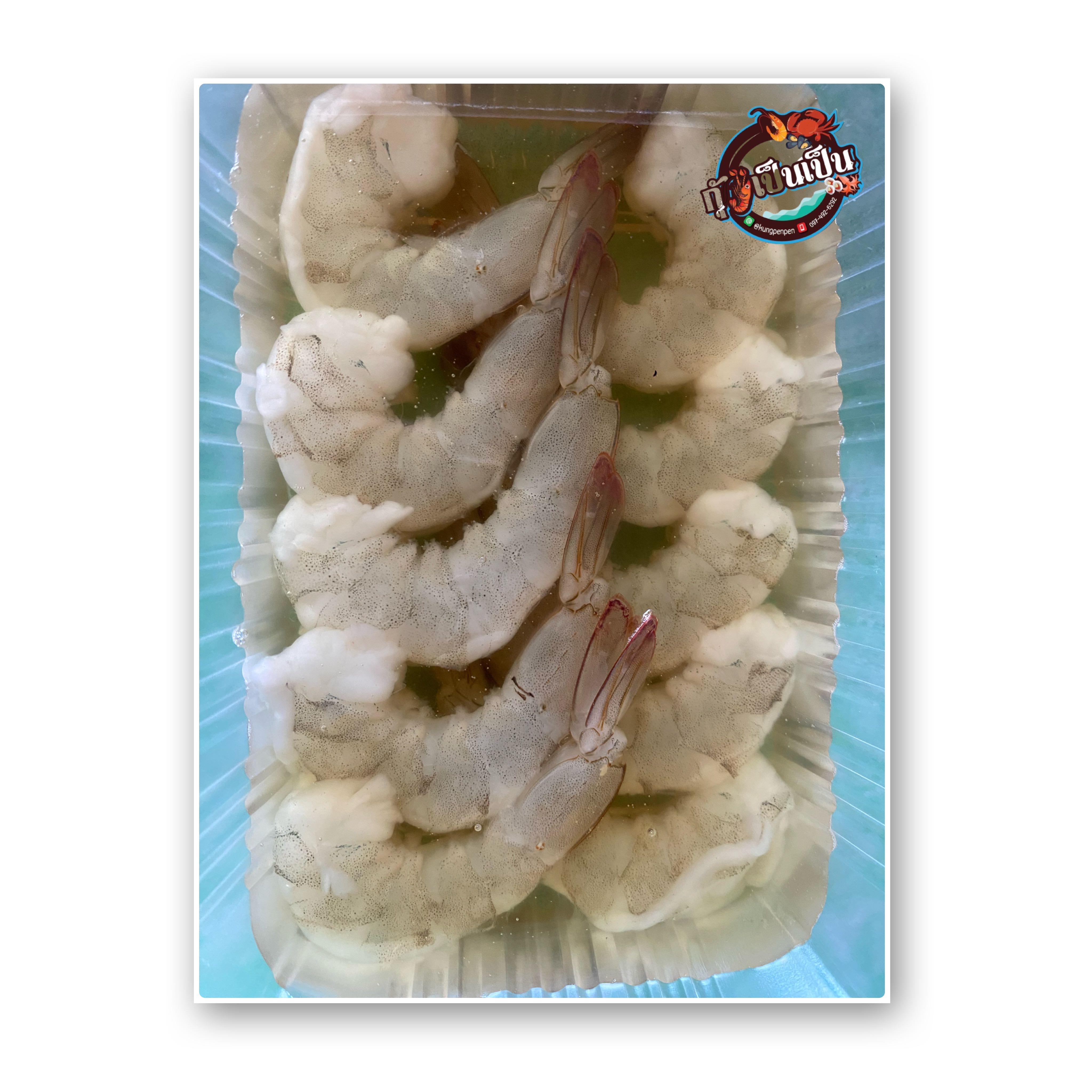 กุ้งดอง
