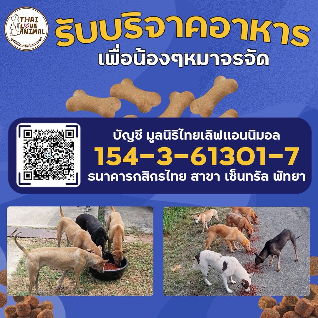 ร่วมบริจาคอาหารเม็ด ให้สุนัข 200 ตัว