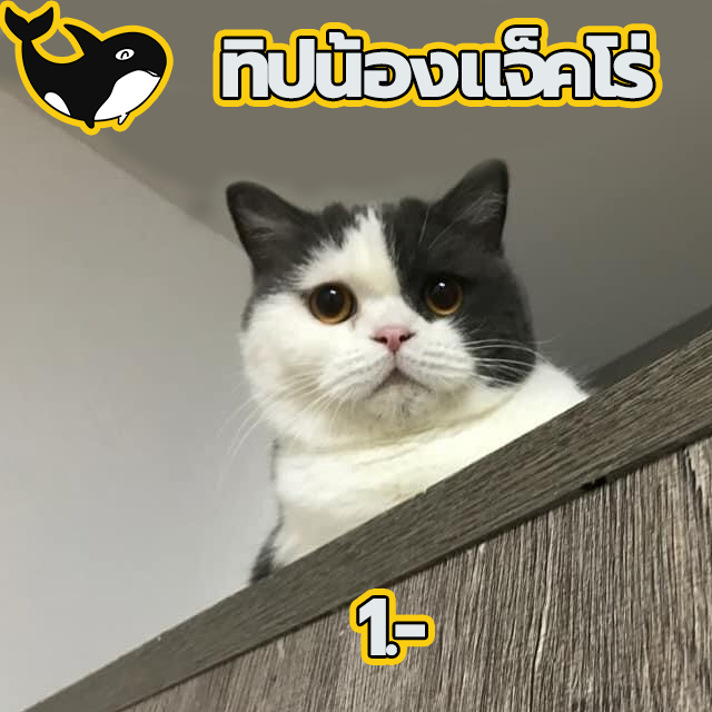default