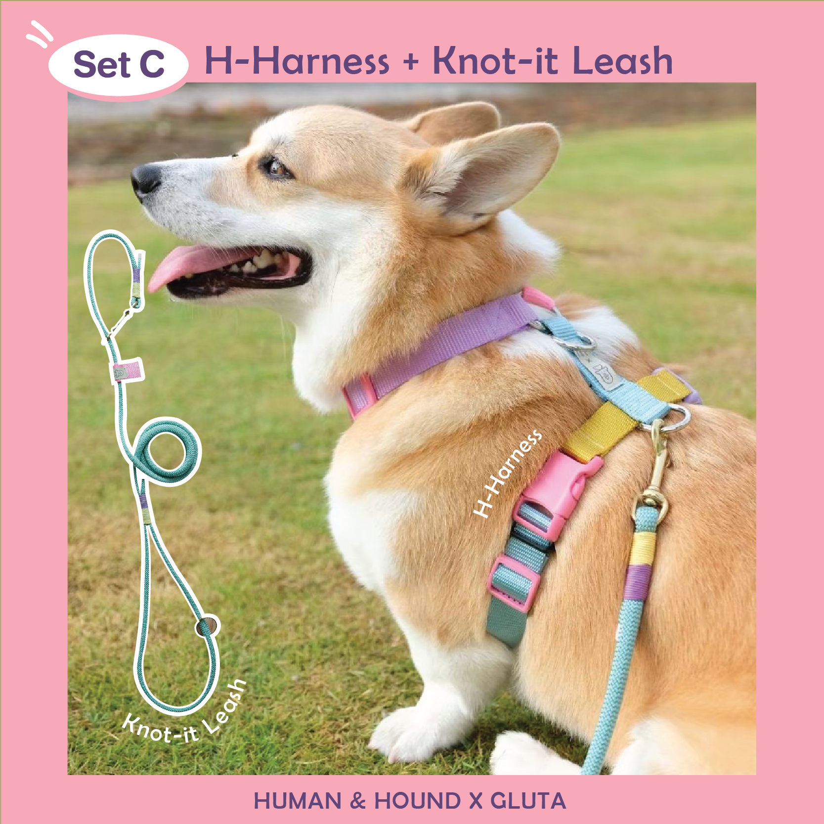 H&H x Gluta Story for Beta (Set C) : ชุดรัดอก + สายจูงกลม Knot it