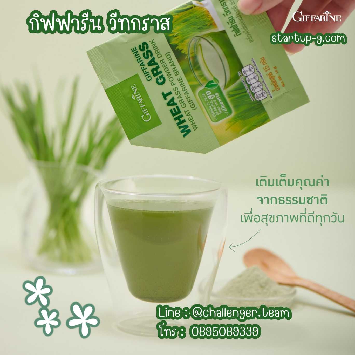 🌿วีทกราส Wheat Grass เครื่องดื่มใบอ่อนข้าวสาลี อร่อยดื่มง่ายได้ประโยชน์ กิฟฟารีน Giffarine