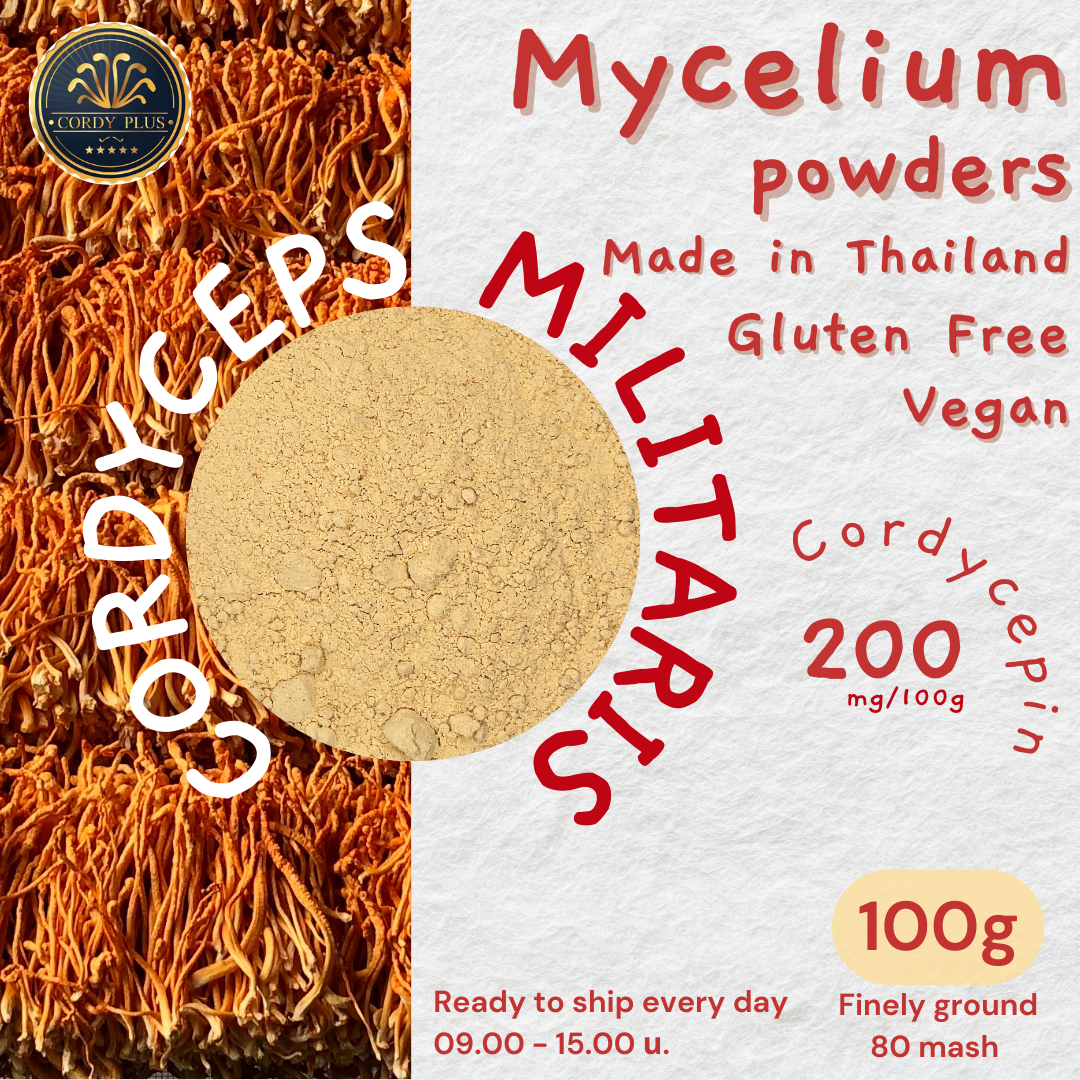 Cordycep militaris (Mycelium) Powders 100 g เส้นใยถั่งเช่าสีทองบดผง 100g
