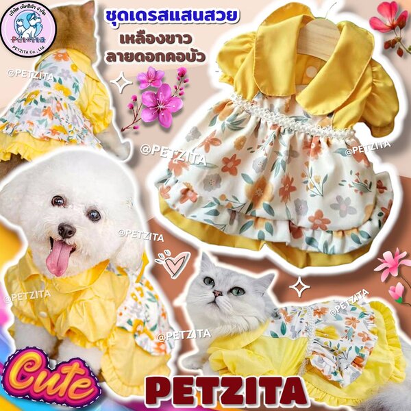 🇹🇭พร้อมส่ง🇹🇭 🌸💐💖เดรสสาวน้อยสุดน่ารัก สไตล์เกาหลี&ญี่ปุ่น for สุนัข หมา แมว สัตว์เลี้ยง