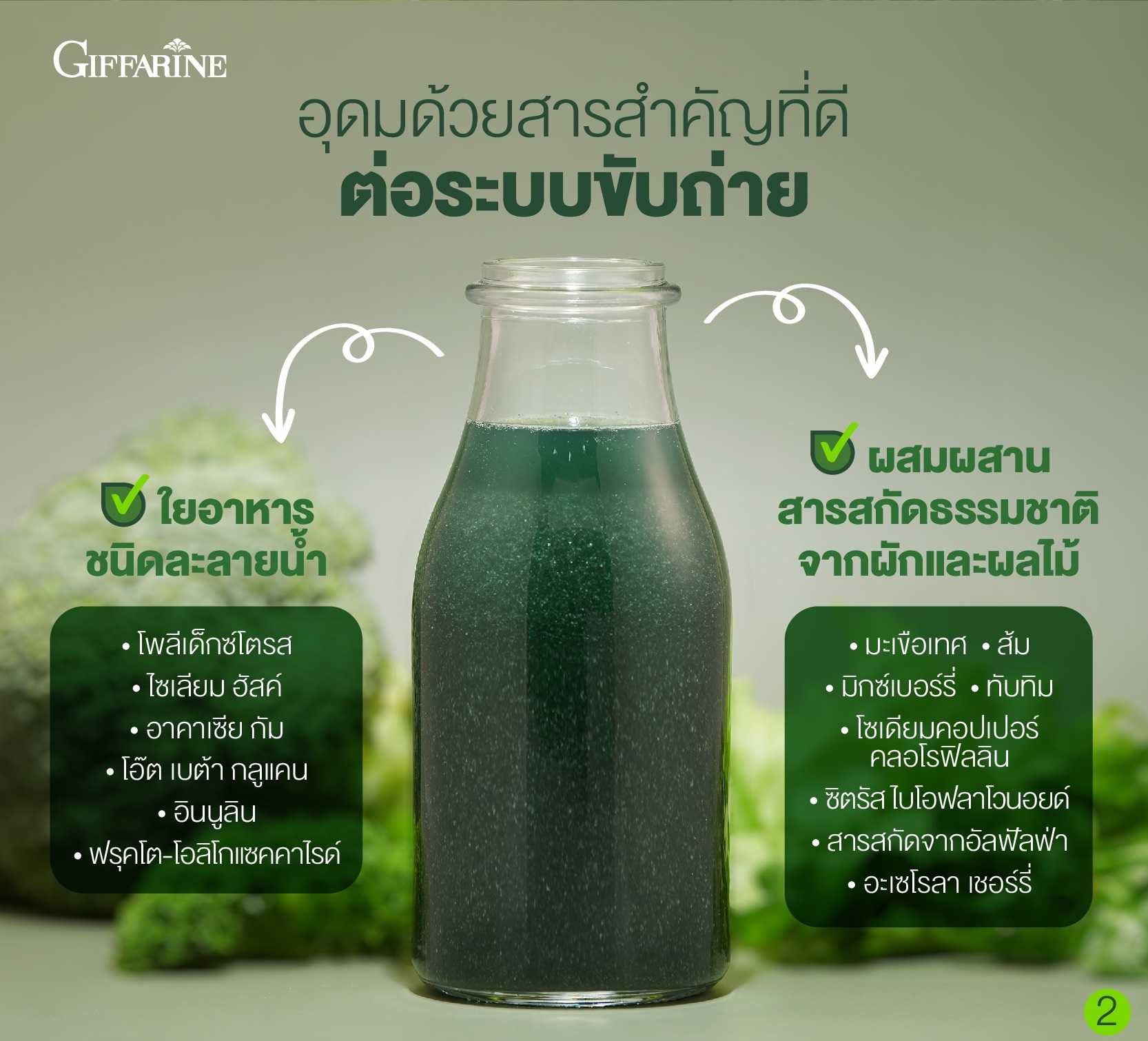 MMH ll Giffarine : ไฟโต-ไฟเบอร์