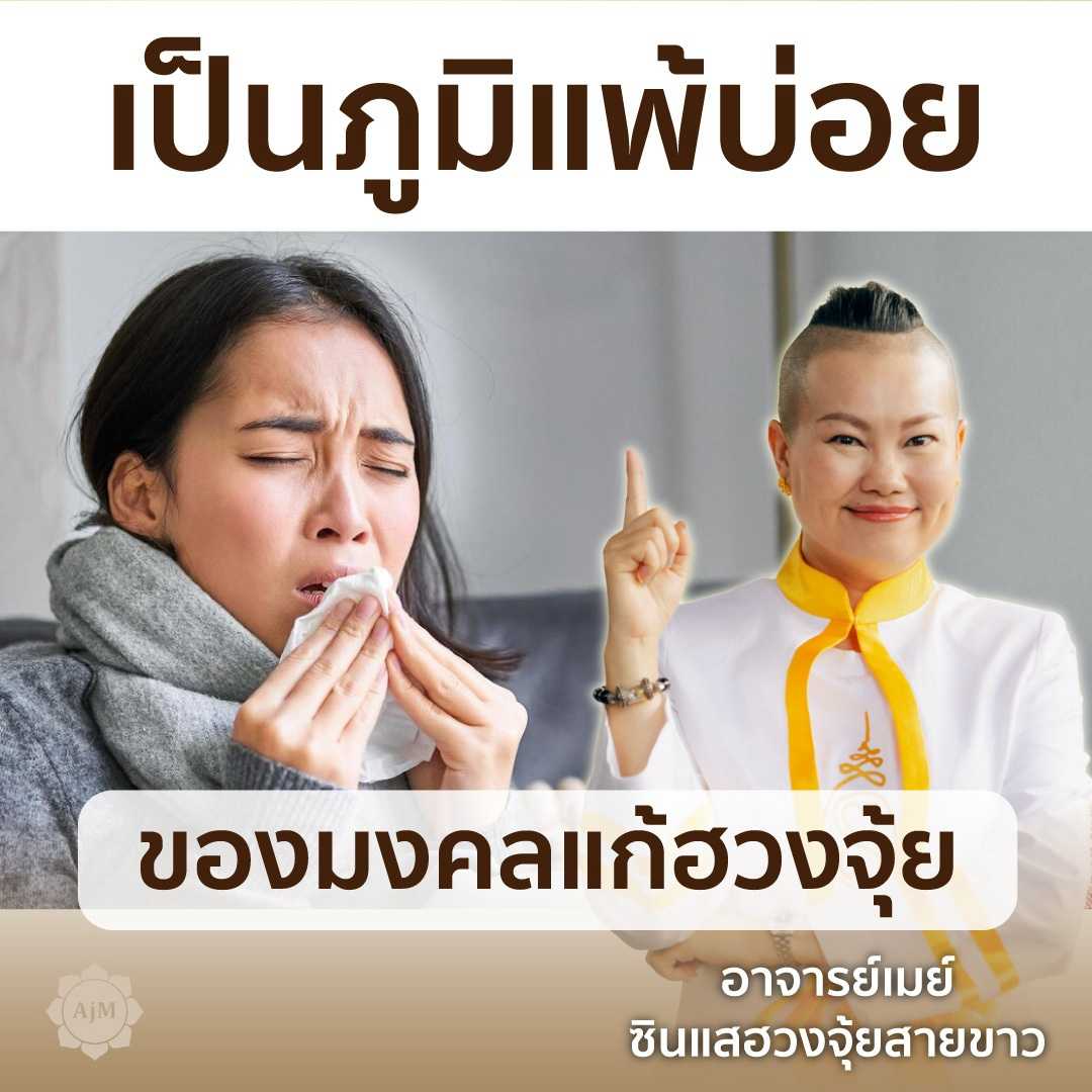 AJANMAY โมบายฮวงจุ้ยนกคุ้ม สำหรับบ้านที่มีคนเป็นภูมิแพ้ ของมงคลปรับฮวงจุ้ยบ้าน