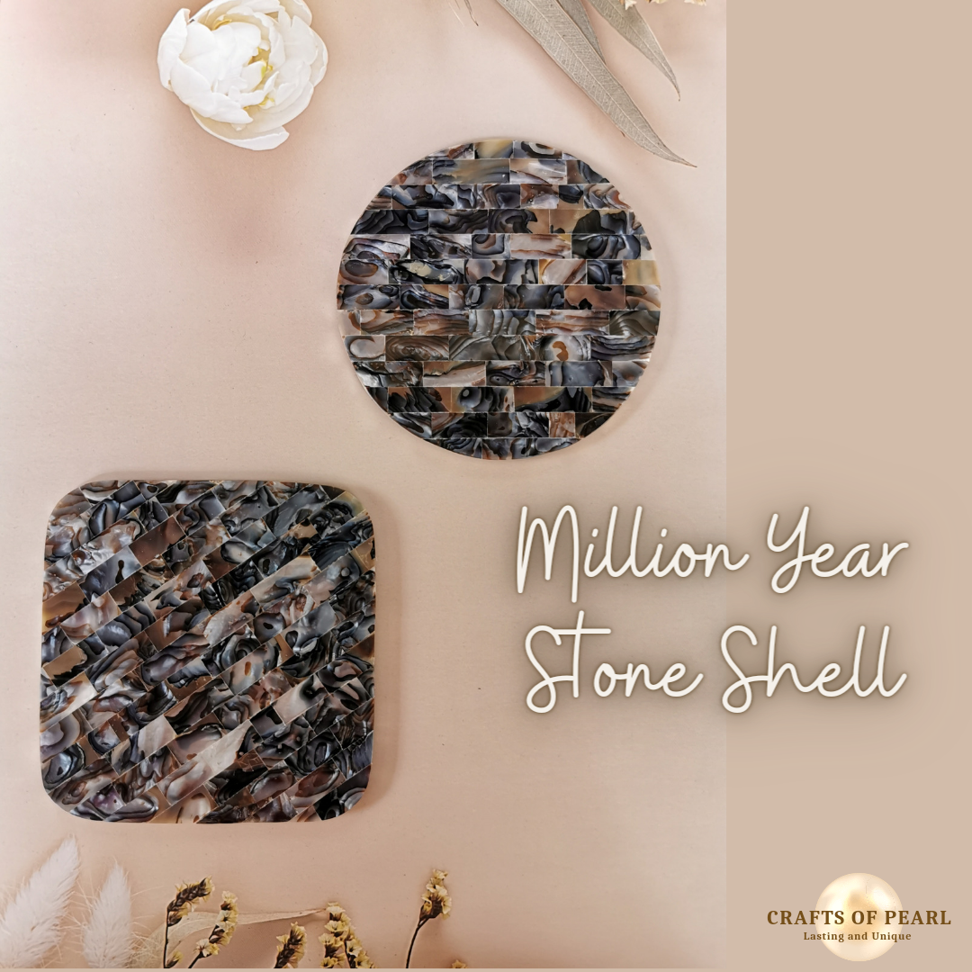 Coasters in Million Year Stone Shell