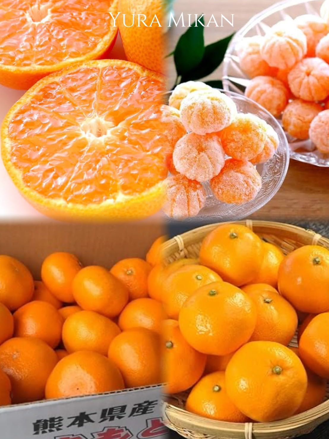 Orange ‘Yura Mikan’