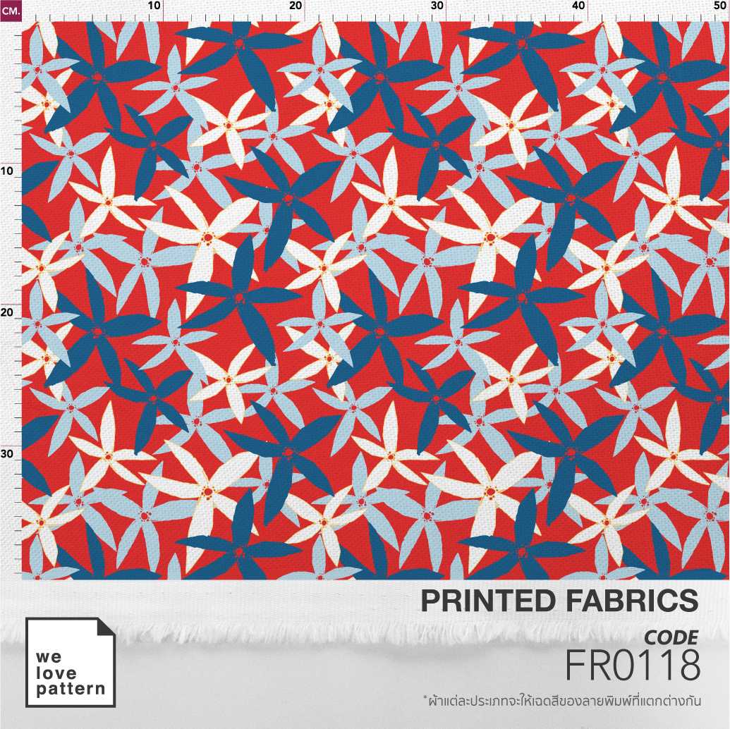 รหัสลาย : FR0118
