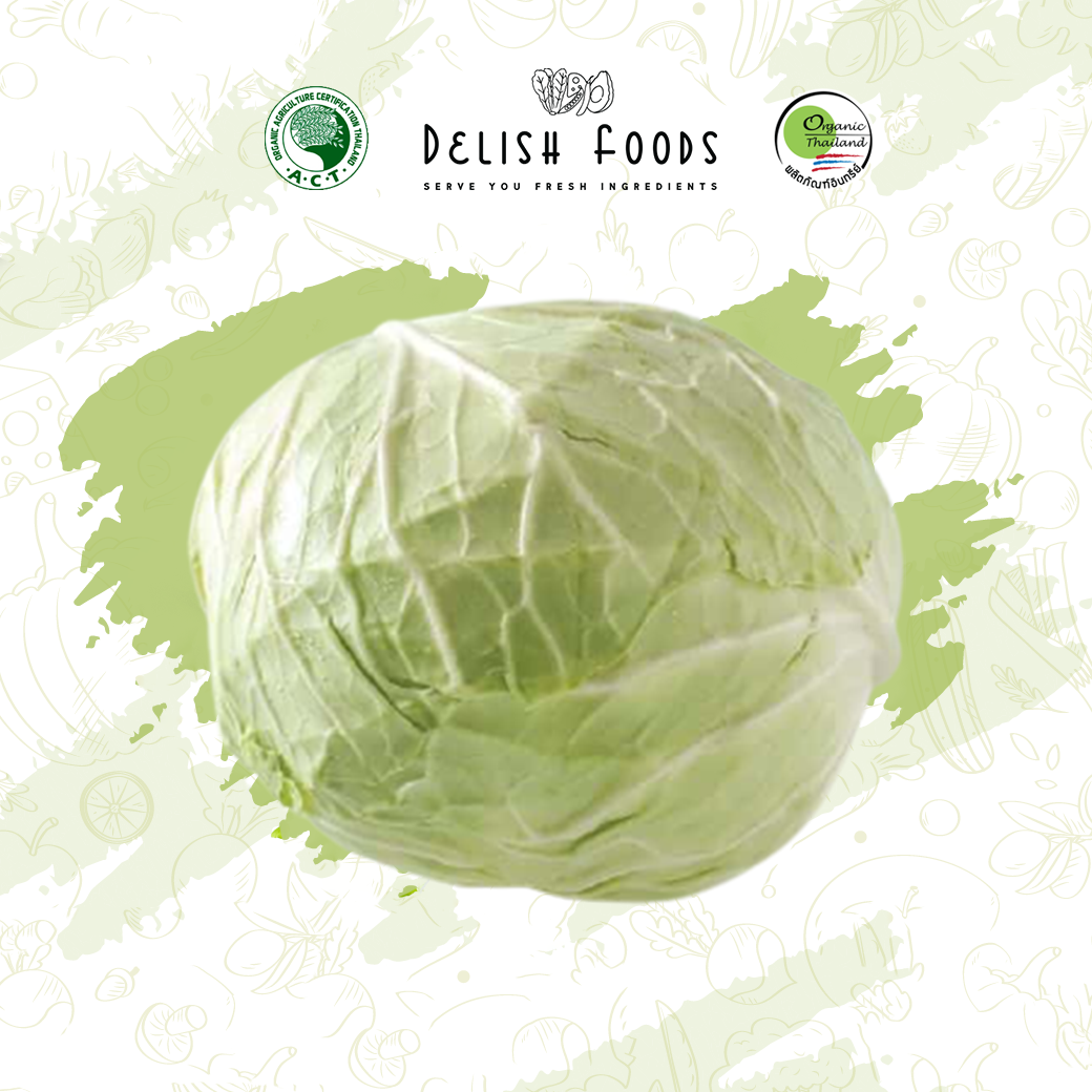 FG22024 ออร์แกนิค กะหล่ำปลี Cabbage Organic (1kg)