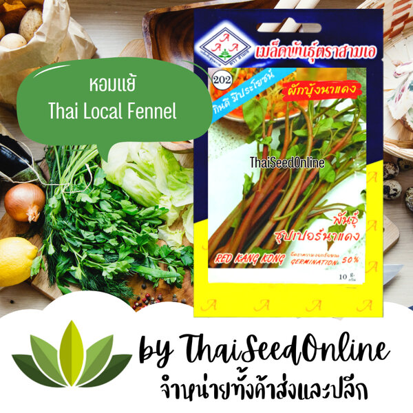 3A(สามเอ) 3A เมล็ดพันธุ์ ผักบุ้งนาแดง ตราสามเอ Red Morning Glory