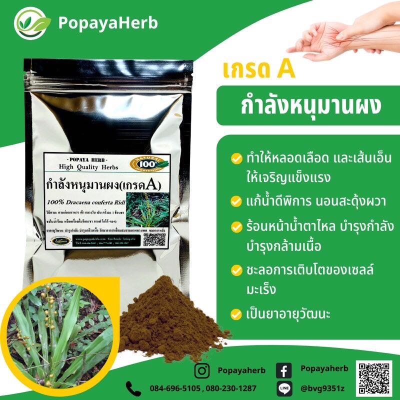 ผงกำลังหนุมาน (กำลังราชสีห์) 100g. บำรุงกำลัง เพิ่มสมรรถภาพทางเพศ
