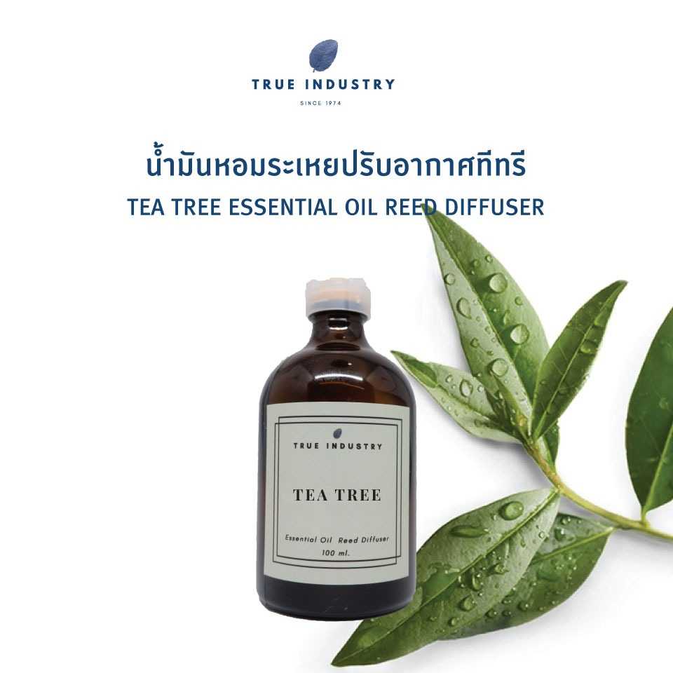 น้ำมันหอมระเหย ทีทรี สำหรับปรับอากาศ (Tea Tree Essential Oil Reed Diffuser)