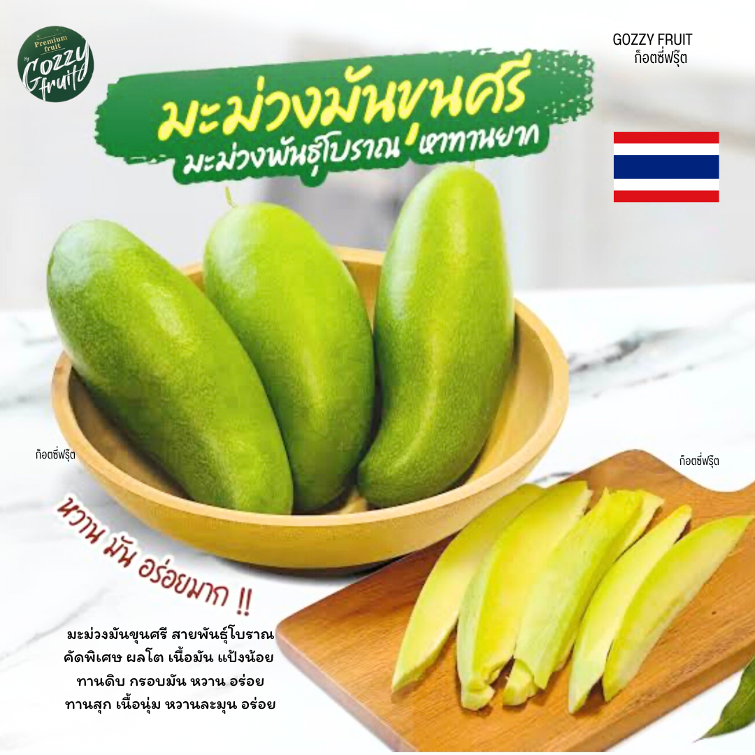 มะม่วงมันขุนศรี โบราณ คัดพิเศษ  ยอดนิยม