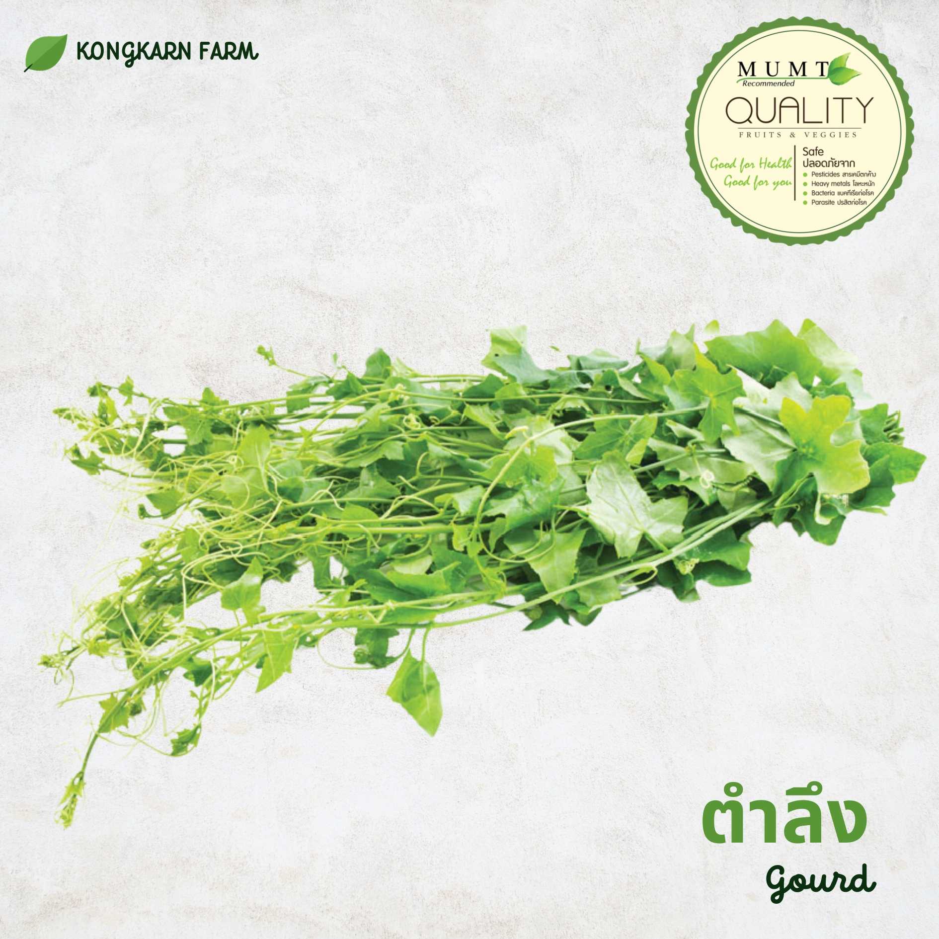 ตำลึง (gourd)