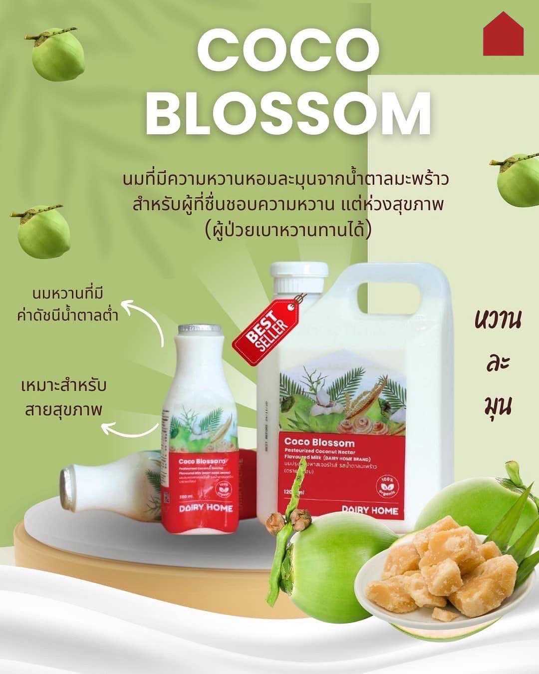 Coconut Nectar Flavoured Milk นมรสน้ำตาลมะพร้าว