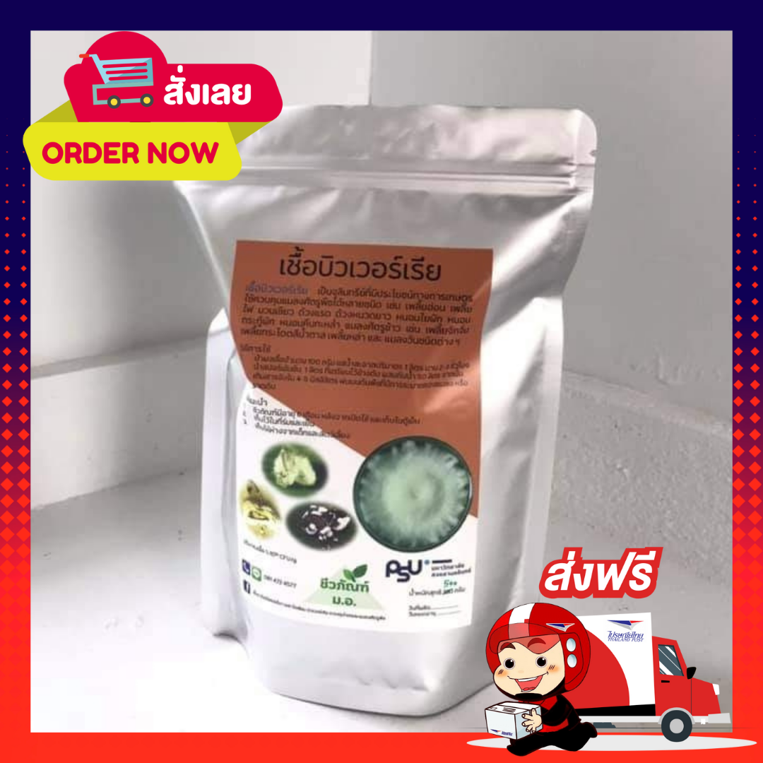 หัวเชื้อบิวเวอร์เรีย🧫100 กรัม : 4 ซอง 🚚 ส่งฟรีทั่วประเทศ