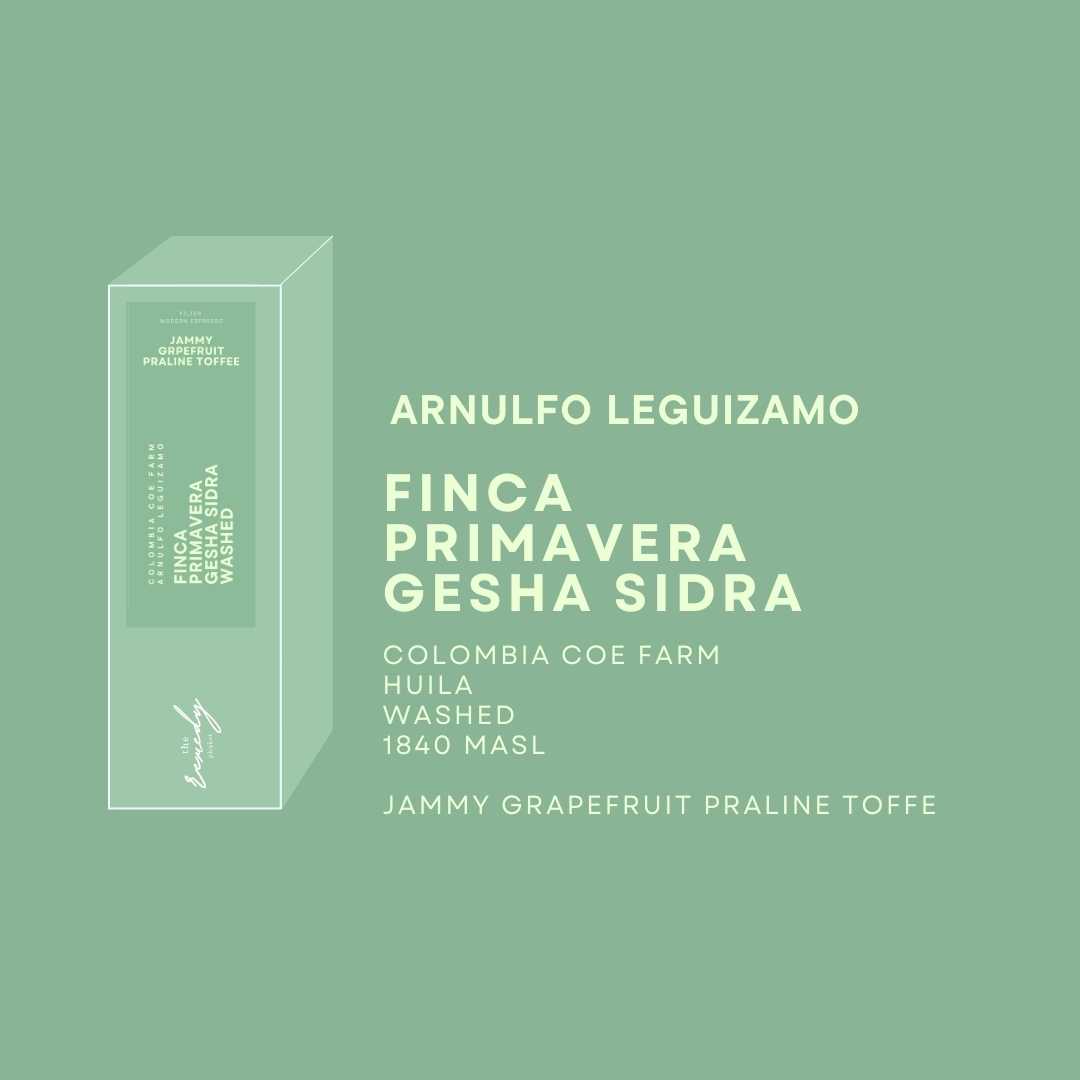 100 g Primavera Gesha Sidra