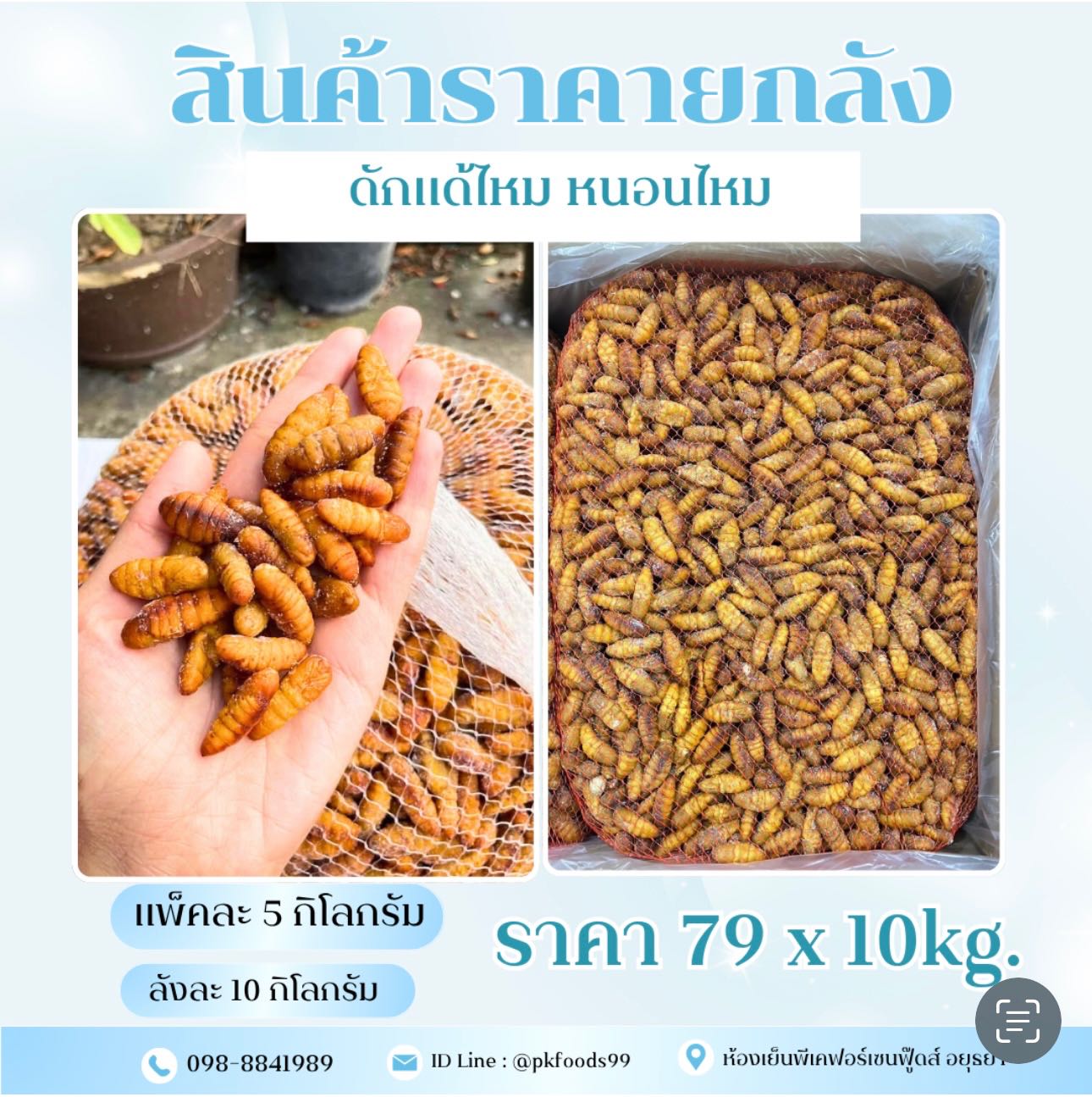 (ยกลัง)ดักแด้ไหม หนอนไหม 10kg.