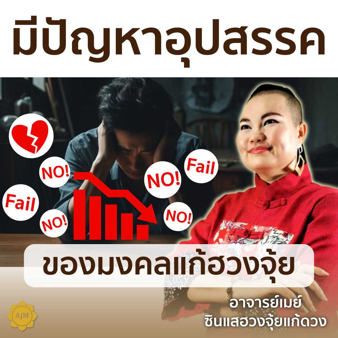 Ajanmay ของมงคล เสริมดวง โมบายฮวงจุ้ย สำหรับบ้านที่พบปัญหาอุปสรรค (โมบายฮวงจุ้ย เป็ด+นกคุ้ม)