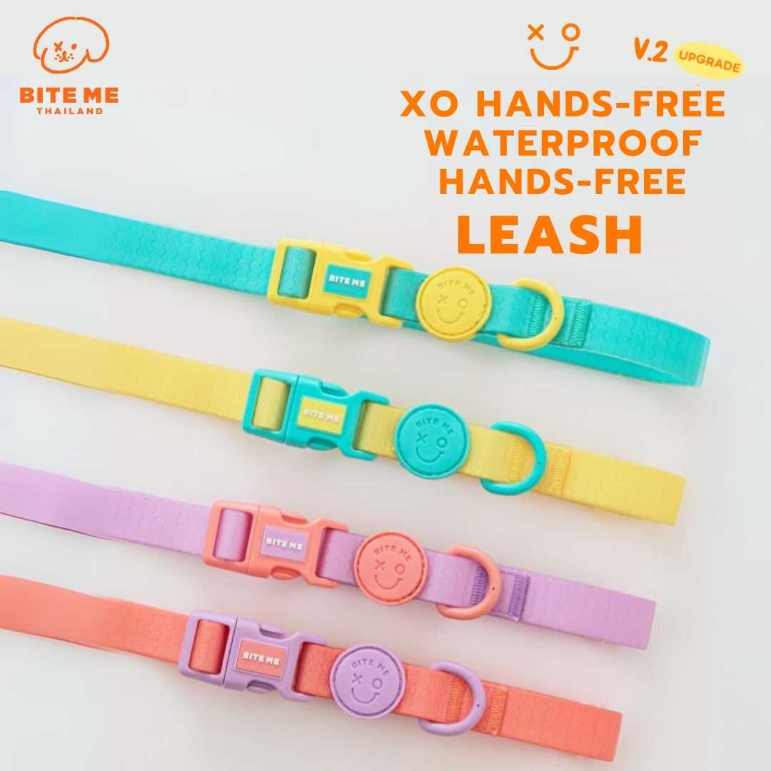 Bite Me XO Waterproof Hands-Free Leash สายจูงแบบแฮนด์ฟรี กันน้ำ 100% 🐶🇰🇷