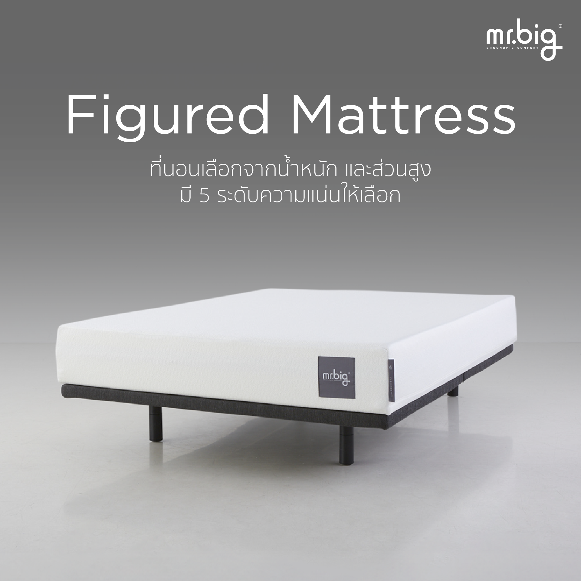 ที่นอน 5 ระดับความแน่น Figured Mattress by MR.BIG