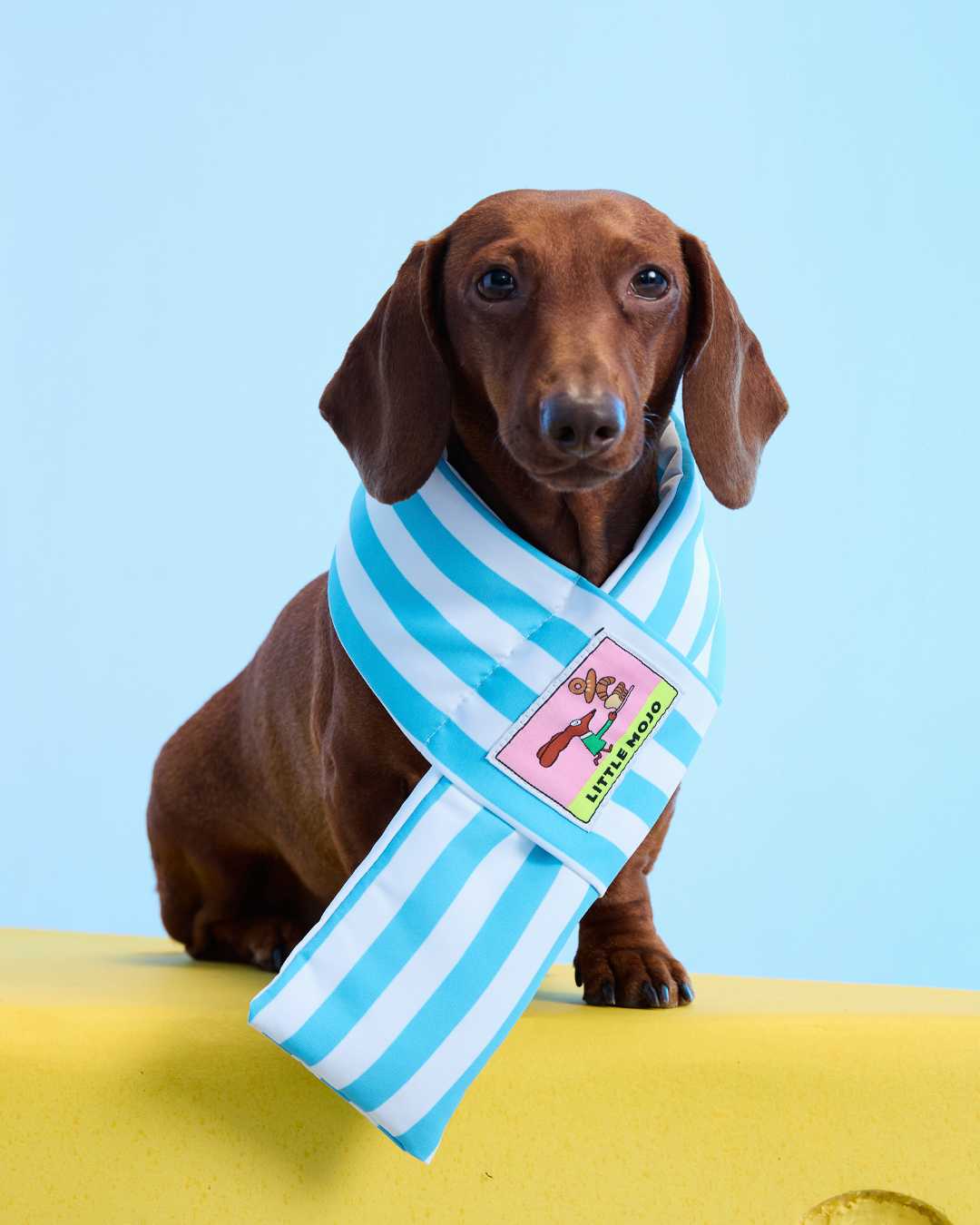 (Look26) Blue Pet Scarf