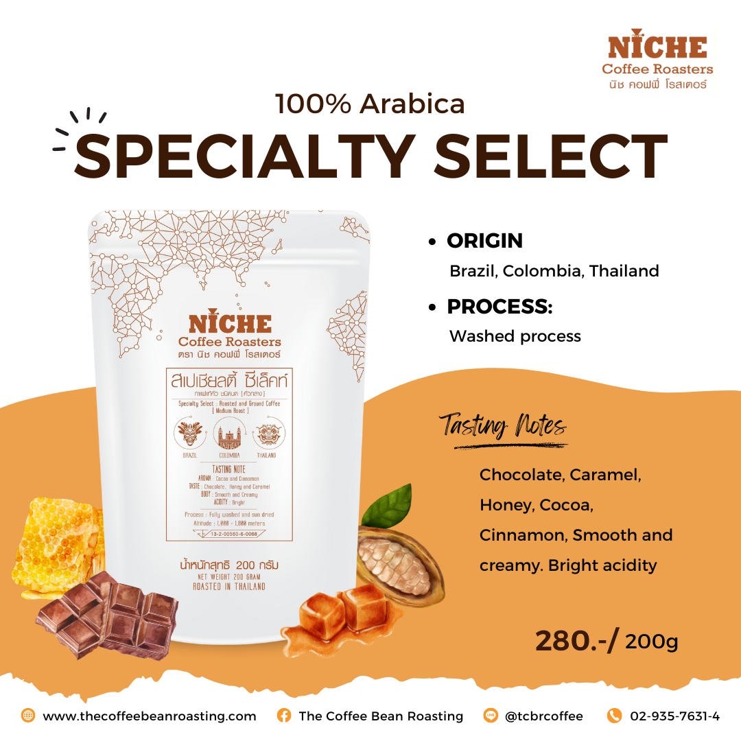 กาแฟ Specialty Select : Medium Roast