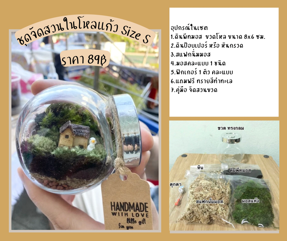 Set Mini S ชุดจัดสวนขวด สวนจิ๋ว สำหรับมือใหม่