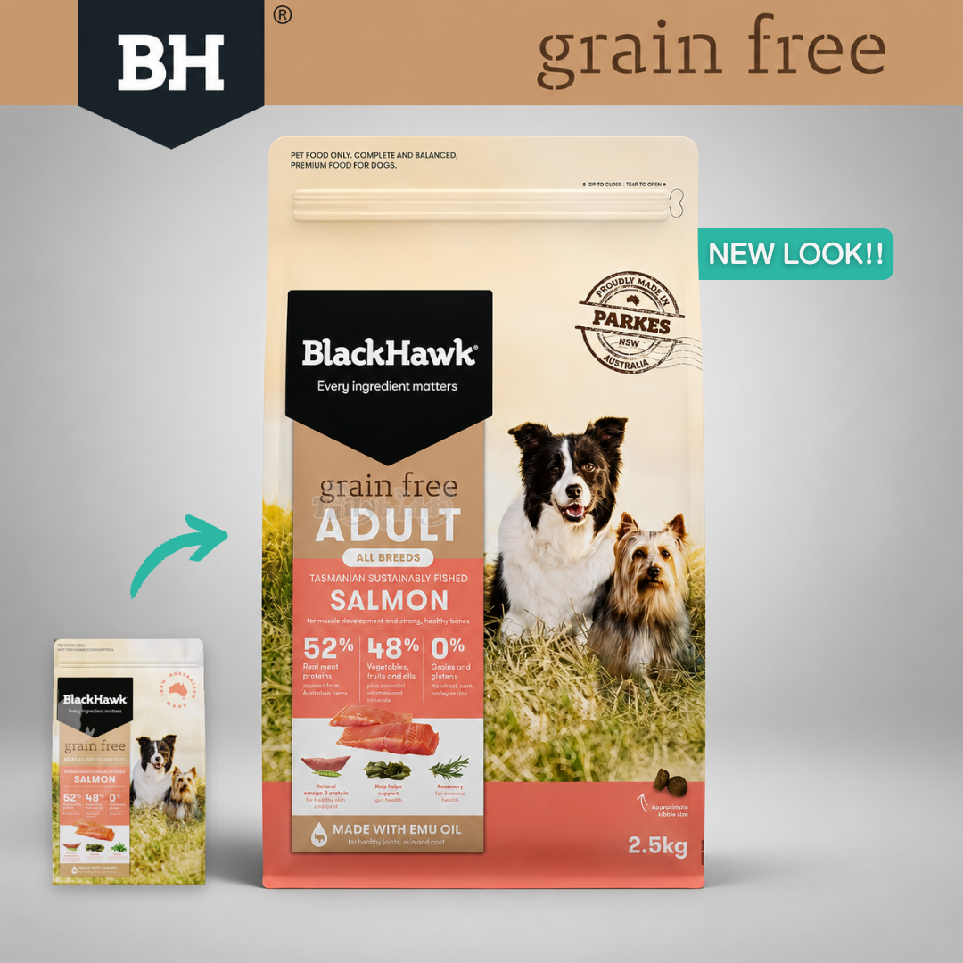 BlackHawk (Grain-Free) Salmon อาหารสุนัขโฮลิสติก สูตรปลาแซลมอน สำหรับสุนัขผิวแพ้ง่าย