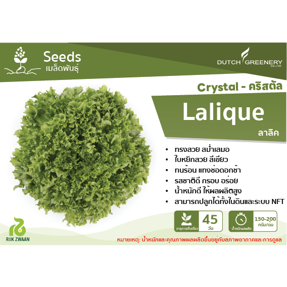 Crystal Lettuce - Lalique RZ