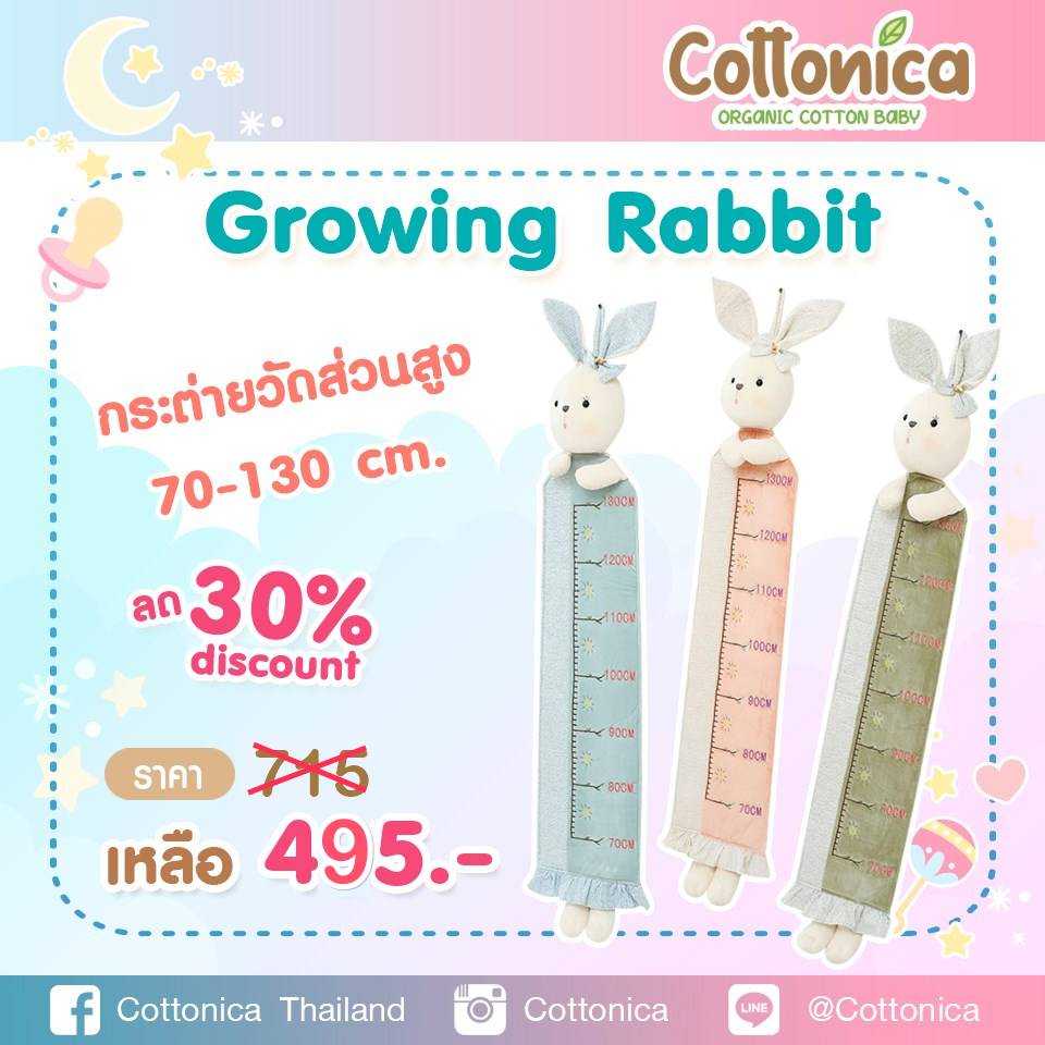 Rabbit Tall พี่กระต่ายวัดส่วนสูงลูกน้อย ที่วัดความสูงติดผนัง วัดส่วนสูงเด็ก(20066-68)