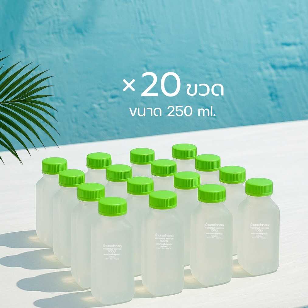 ( ยกเซ็ท 20 ขวด ฟรีลังโฟม ) ขนาด 250 ml.