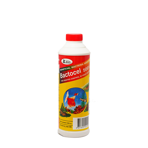 แบคโตเซล 5001 (1000cc.) จุลินทรีย์เพื่อเลี้ยงสัตว์น้ำ ปรับสภาพน้ำในบ่อปลา