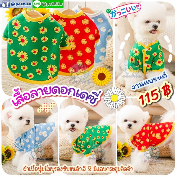 🇹🇭พร้อมส่ง🇹🇭 🏵💮 เสื้อลาย ดอกเดซี่ - สไตล์🇯🇵ญี่ปุ่น🇰🇷เกาหลี 💟 งานแบรนด์แท้ FOR PET สุนั...