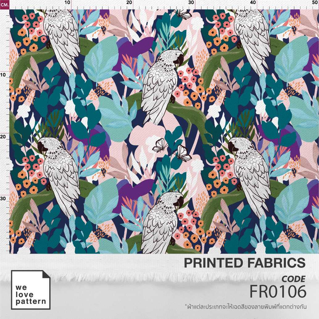 รหัสลาย : FR0106
