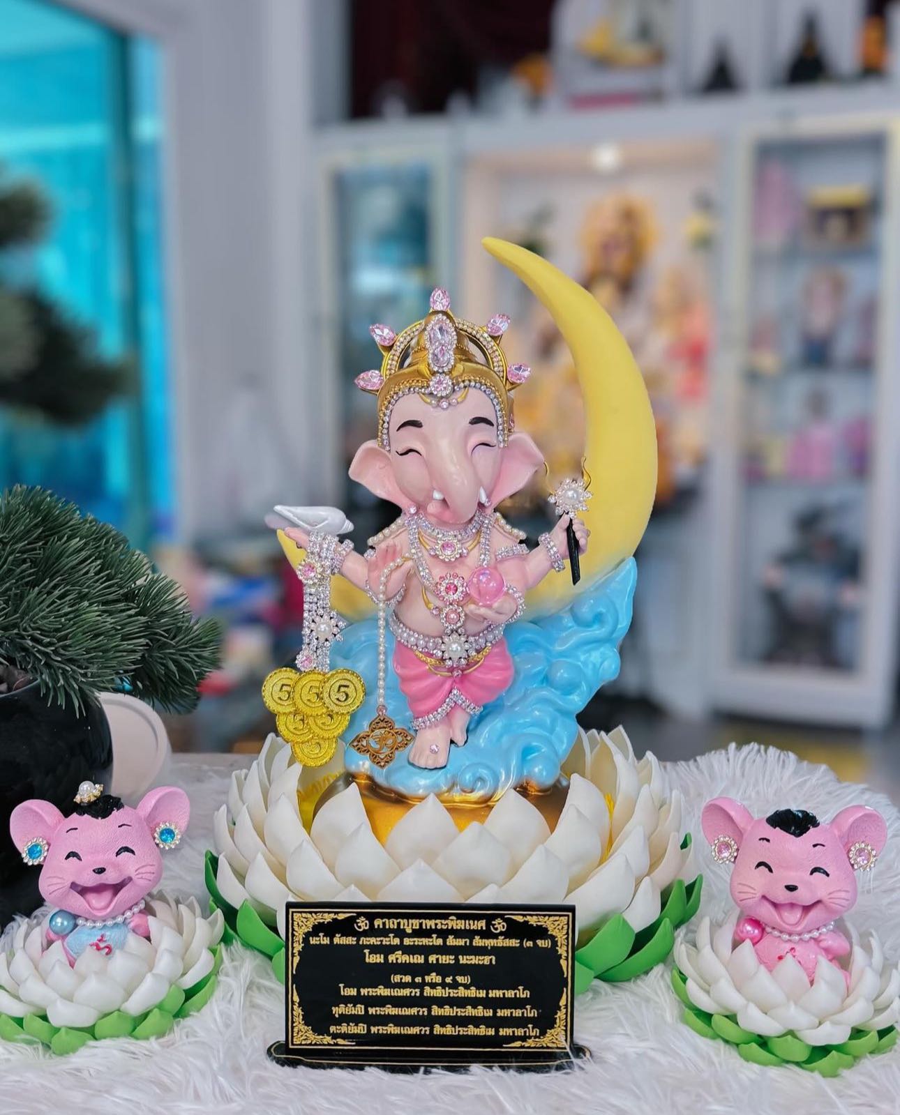 เซ็ตมหาเศรษฐี(ขาว,ดำ,พาสเทล)