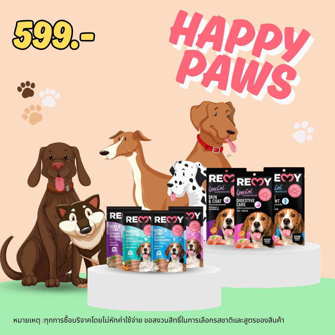 HAPPY PAWS (Dog food + Dog treats)