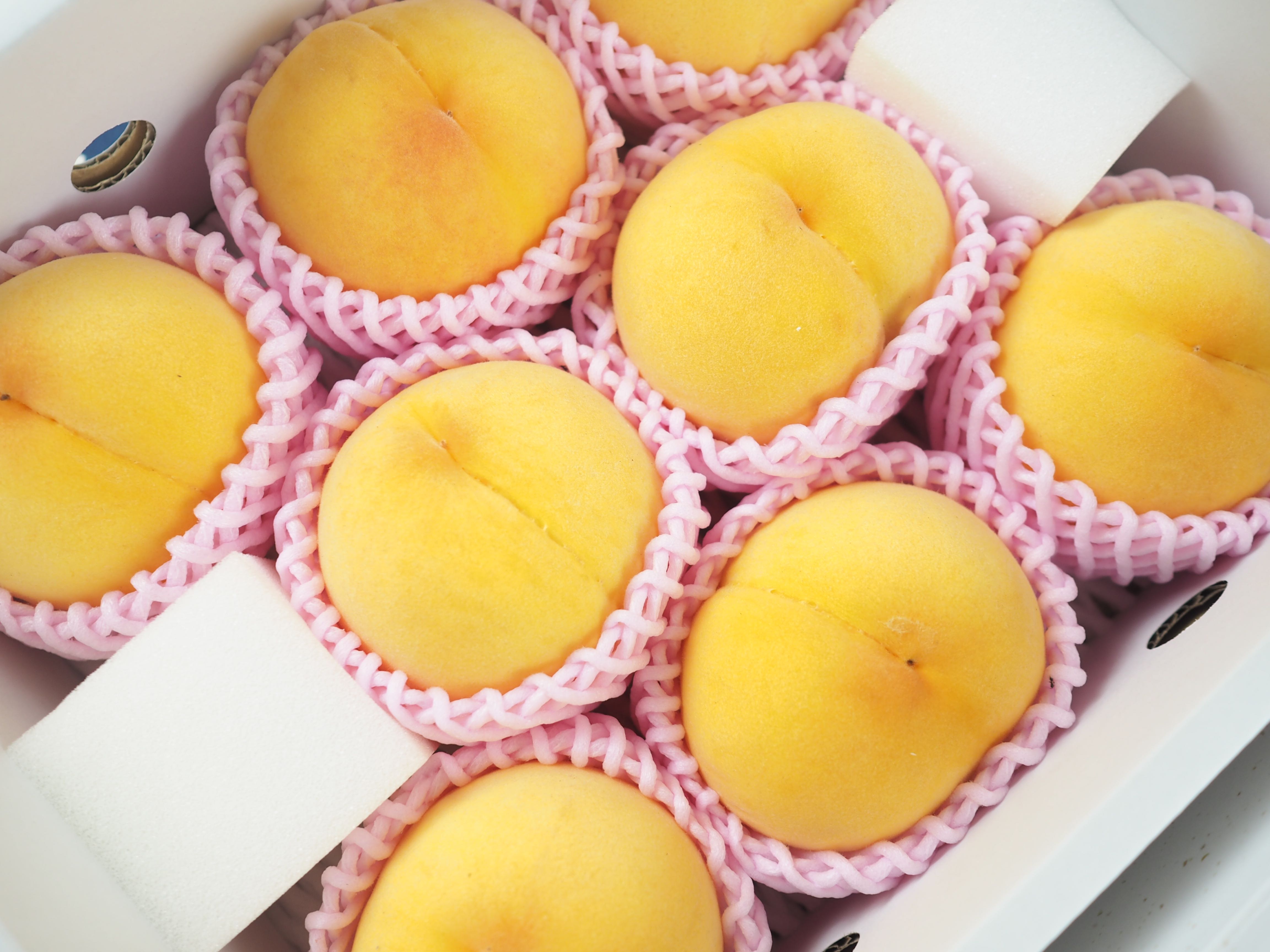 พีชญี่ปุ่น (พีชทอง) (Golden peach)