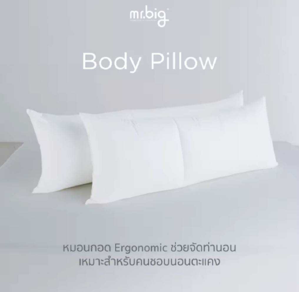 mr.big Body Pillow - Full-Length 20 x 60 inch.