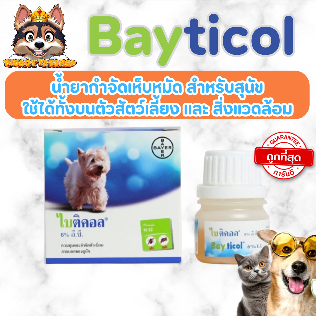 Bayticol ไบติคอล 10 ml น้ำยาควบคุมและกำจัดเห็บ-หมัด ใช้ได้ทั้งบนตัวสัตว์ บริเวณที่อยู่อาศัย