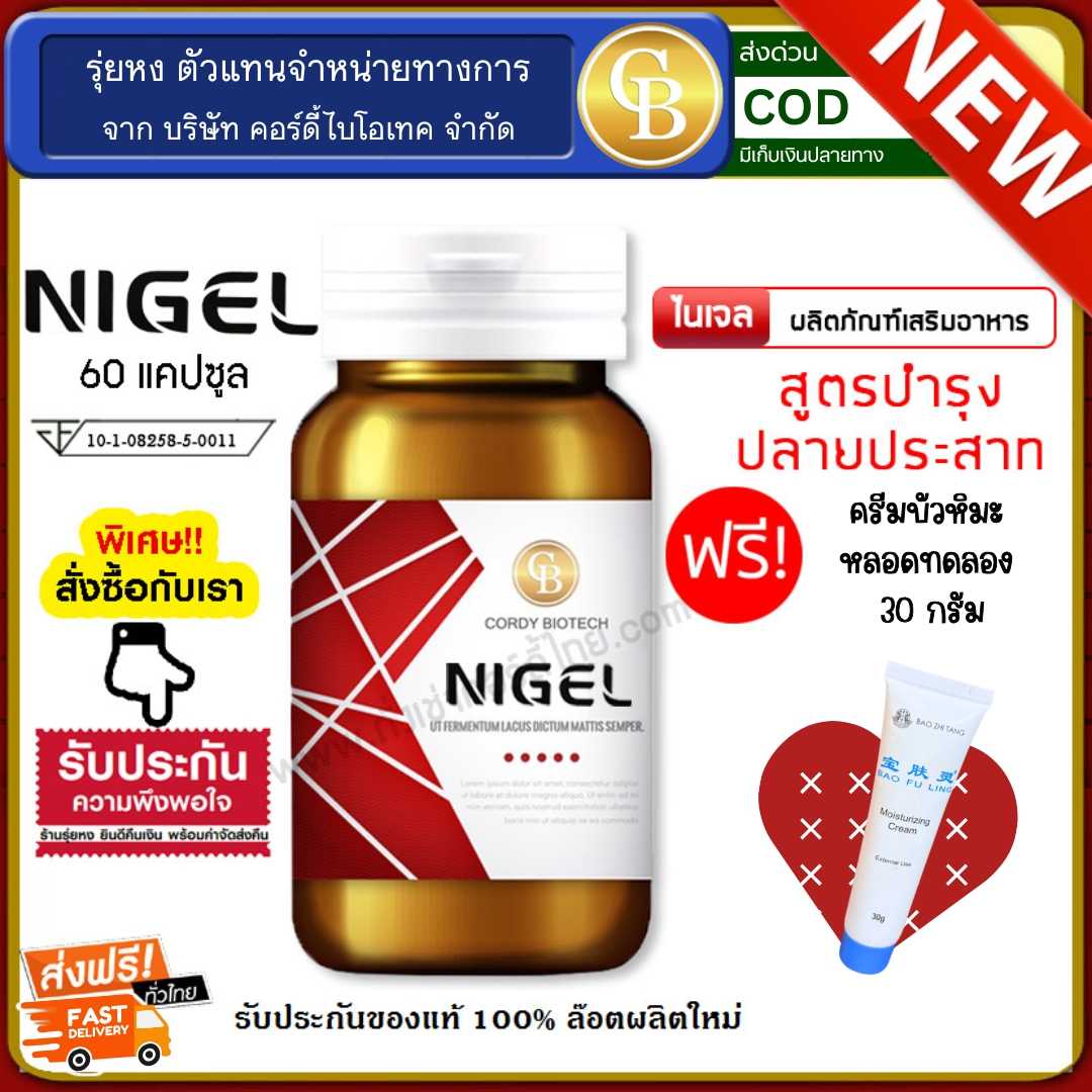 Nigel ไนเจล สูตรบำรุงปลายประสาท 1 ขวด (60 แคปซูล/ขวด) แถม  ครีมบัวหิมะ หลอดทดลอง 30g