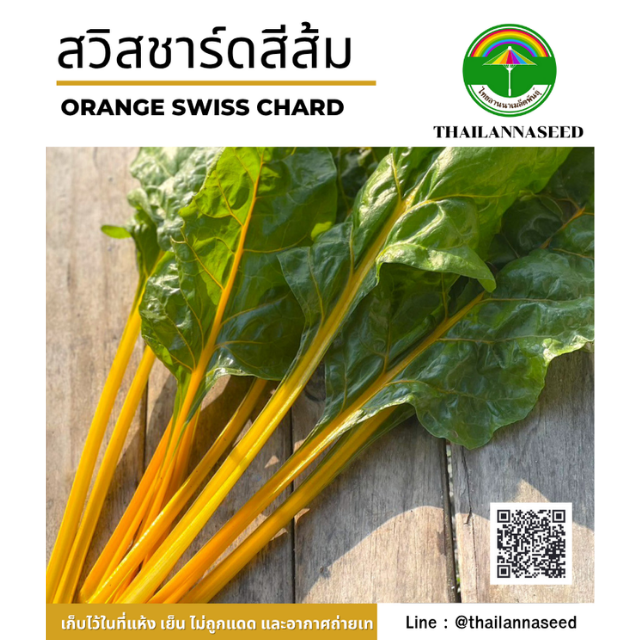 สวิสชาร์ตสีส้ม ( ขนาด 0.5 กรัม ) รหัสสินค้า 4007