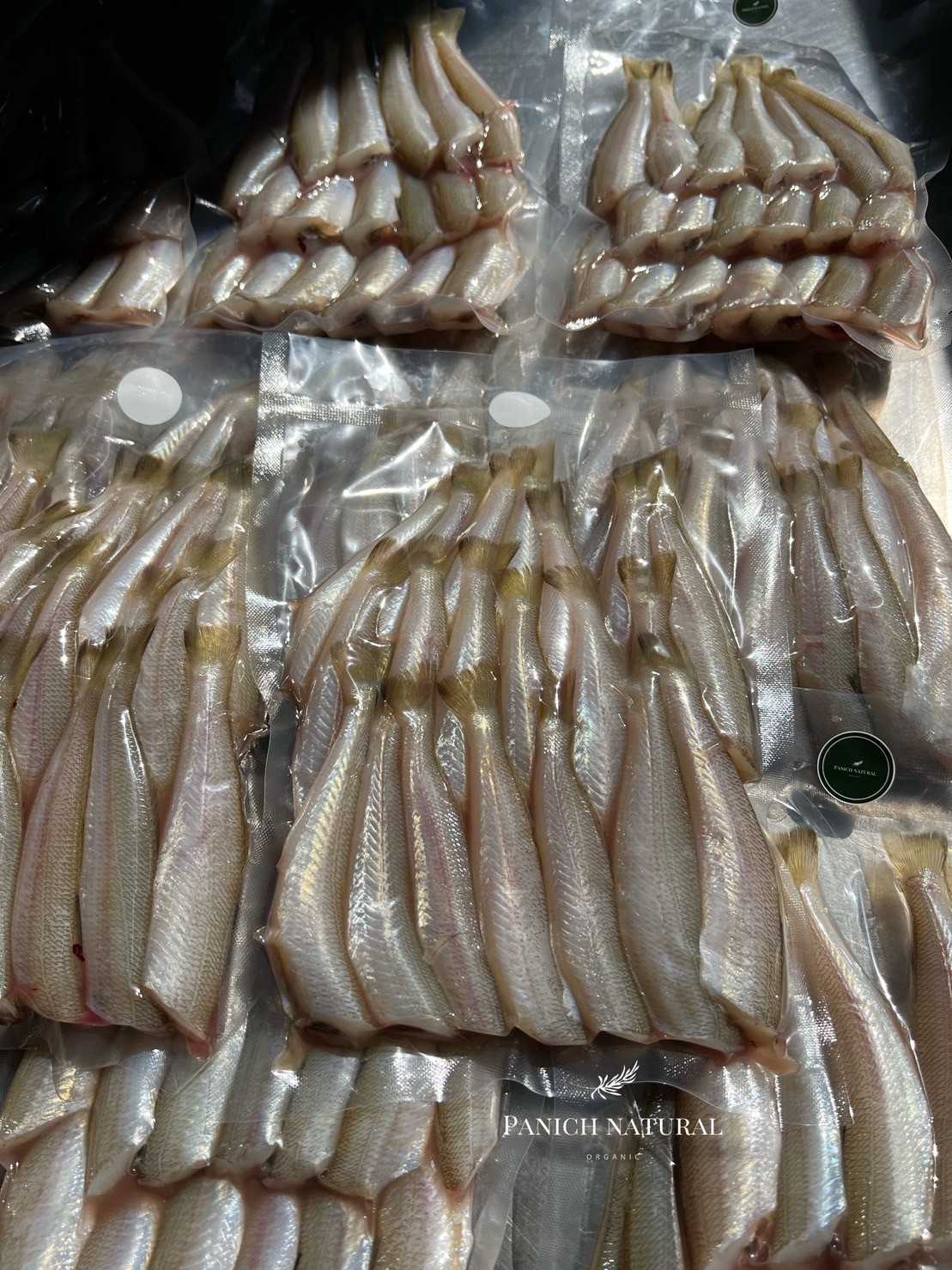 ปลาเห็ดโคน/ปลาทราย