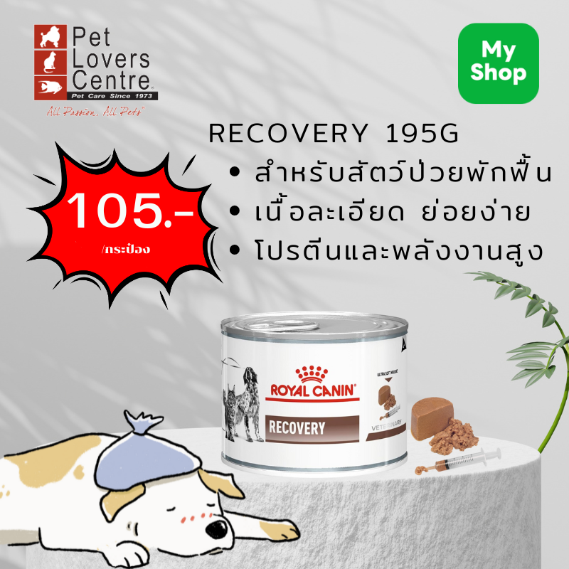 ROYAL CANIN (DR.) สุนัขและแมวประกอบการรักษา ระยะพักฟื้น ดูแลหลังผ่าตัด เปียก RECOVERY ขนาด 195 กรัม