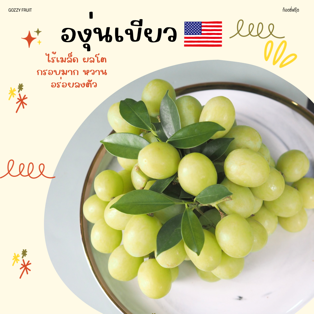 องุ่นเขียว  Sweet globe อเมริกา