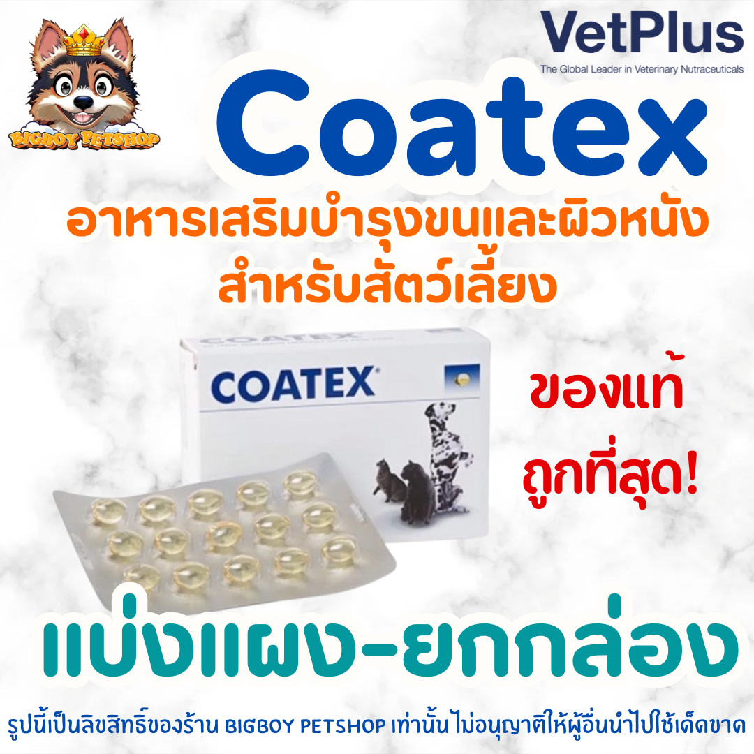 Coatex วิตามินบำรุงขนและผิวหนัง แบ่งแผง-ยกกล่อง